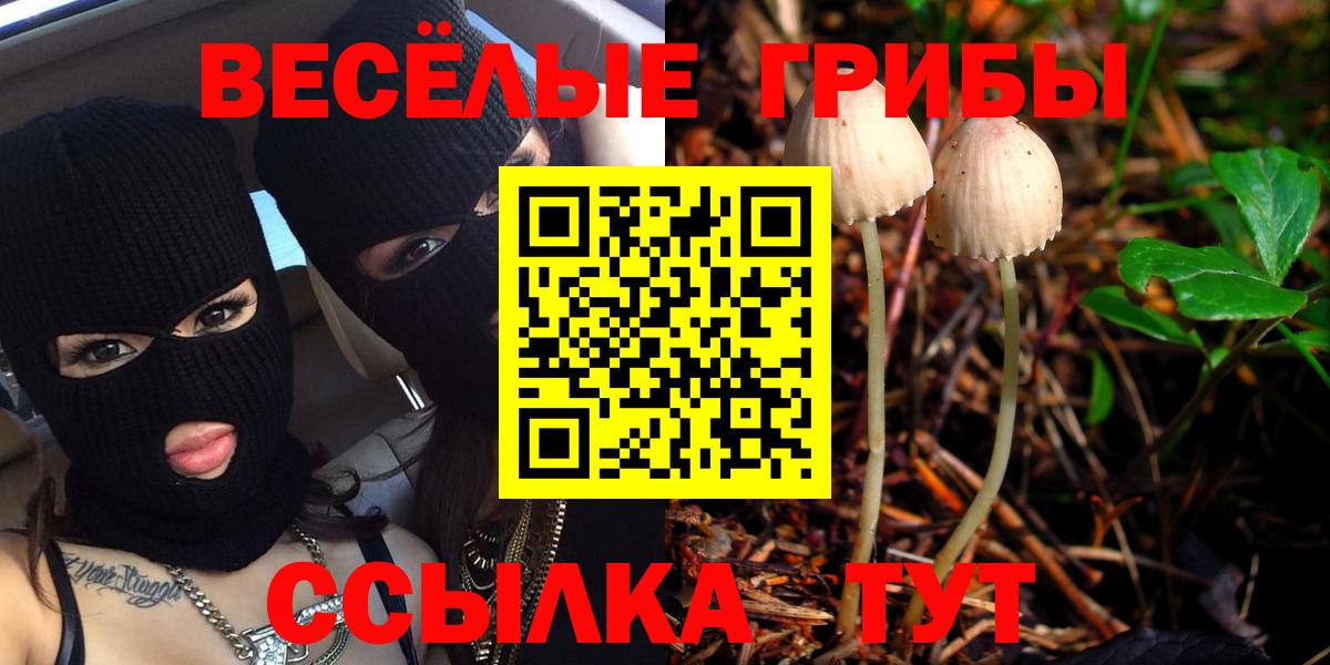 Мурманск  Псилоцибиновые грибы ЛСД  Вход с VPN  Псилоцибиновые грибы ЛСД 